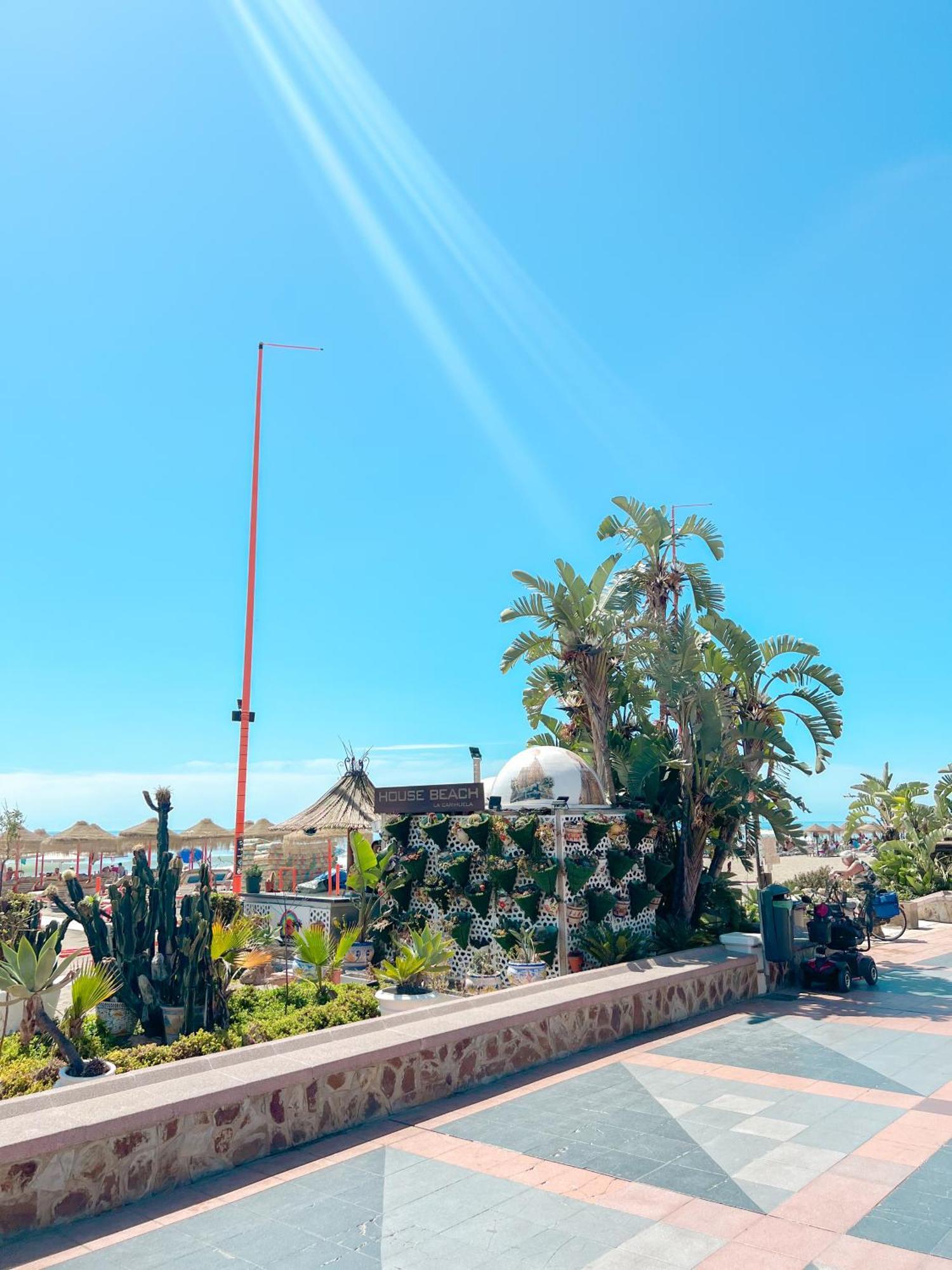 Palm Aparment Sea Views Lejlighed *